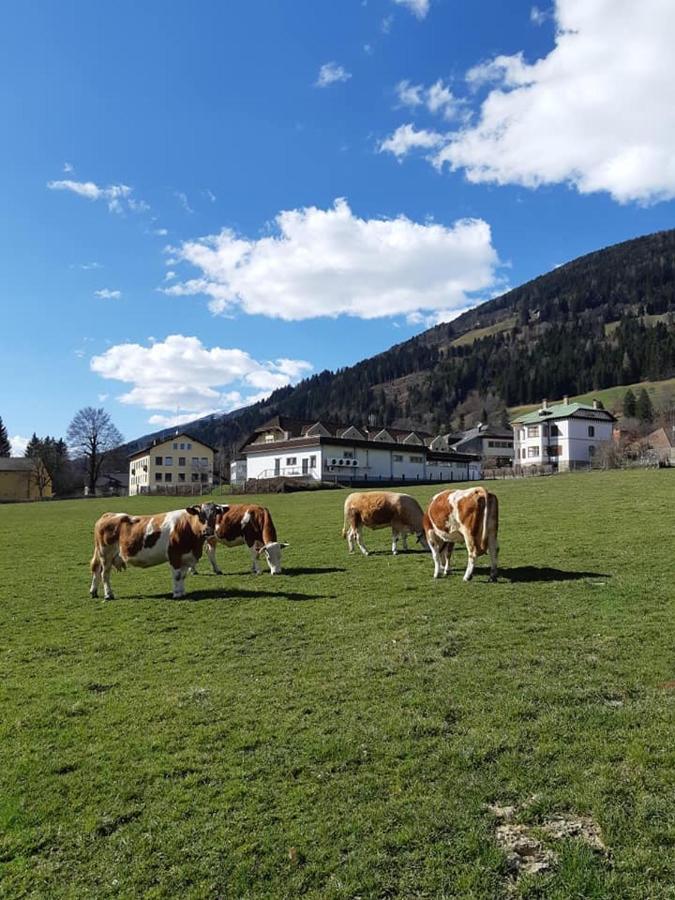 Gaestehaus Post Aigner Greifenburg Dış mekan fotoğraf